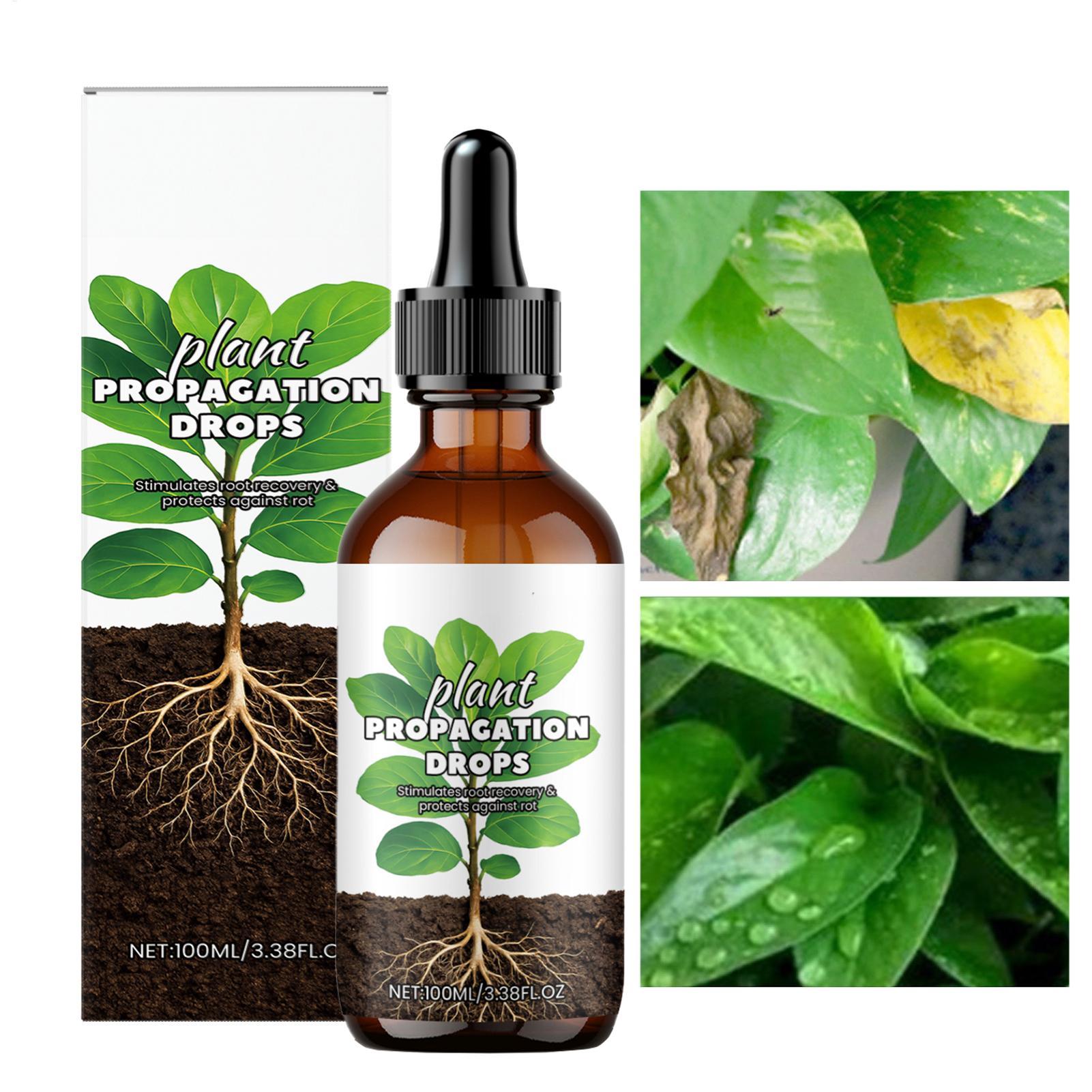 Root Stimulator Liquid - الجذر الداعم 100 مللي قطرات محفز
