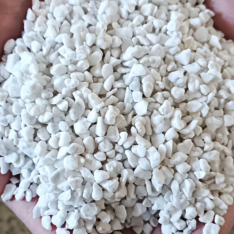Sphagnum Moss Dry - كيس واحد من البيرلايت للحدائق بحجم