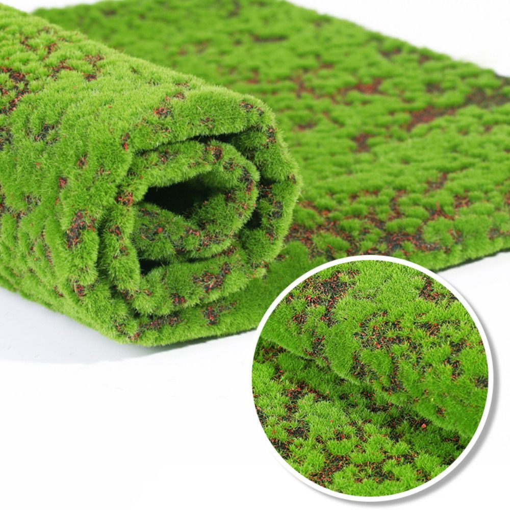 Sphagnum Moss Dry - عشب صناعي من الطحالب قابل للتركيب