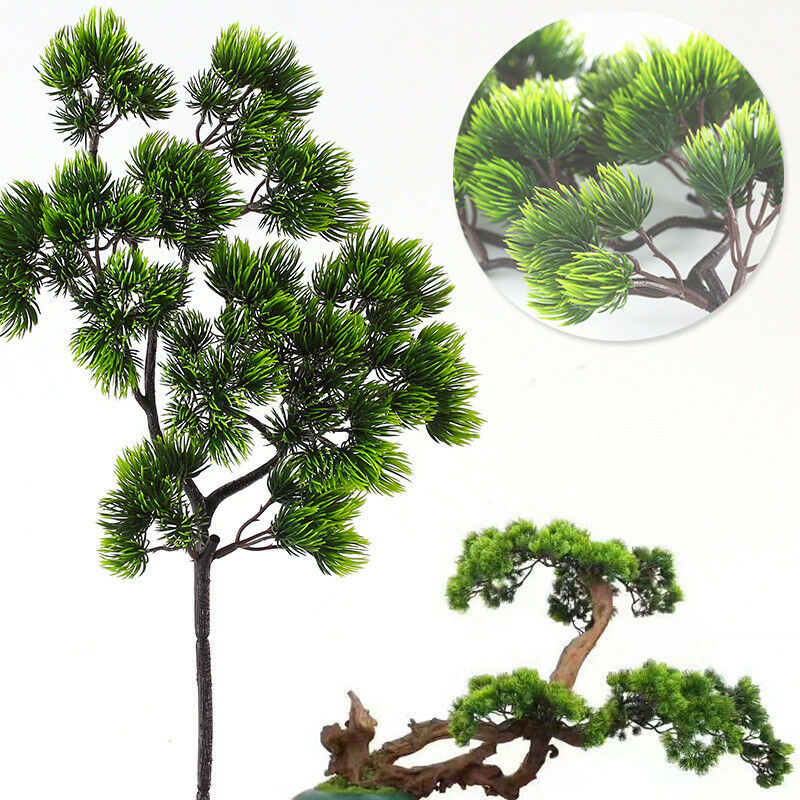 Sphagnum Moss Dry - 42 سنتيمتر نبات اصطناعي فرع الصنوبر
