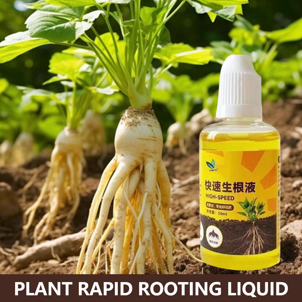 Root Stimulator Liquid - محفز جذر النباتات الخضراء قطع السائل
