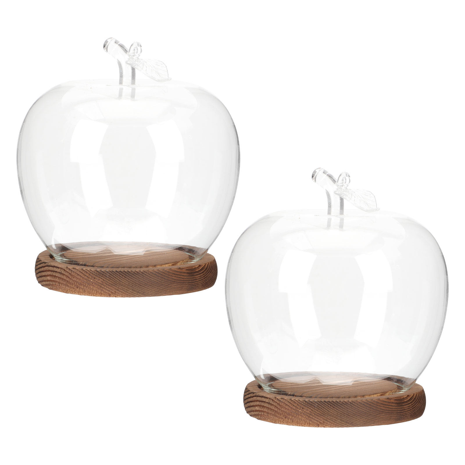 Plastic Dome Clear - قطعتان من قبة زجاجية شفافة مع