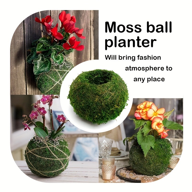 وعاء طحالب صناعية، حاوية نباتا - مراجعة Sphagnum Moss Dry وسعره