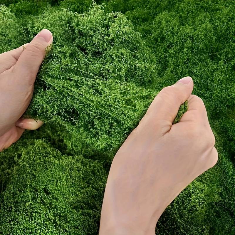 بساط طحالب صناعية أخضر مقاس 20 - مراجعة Sphagnum Moss Dry وسعره