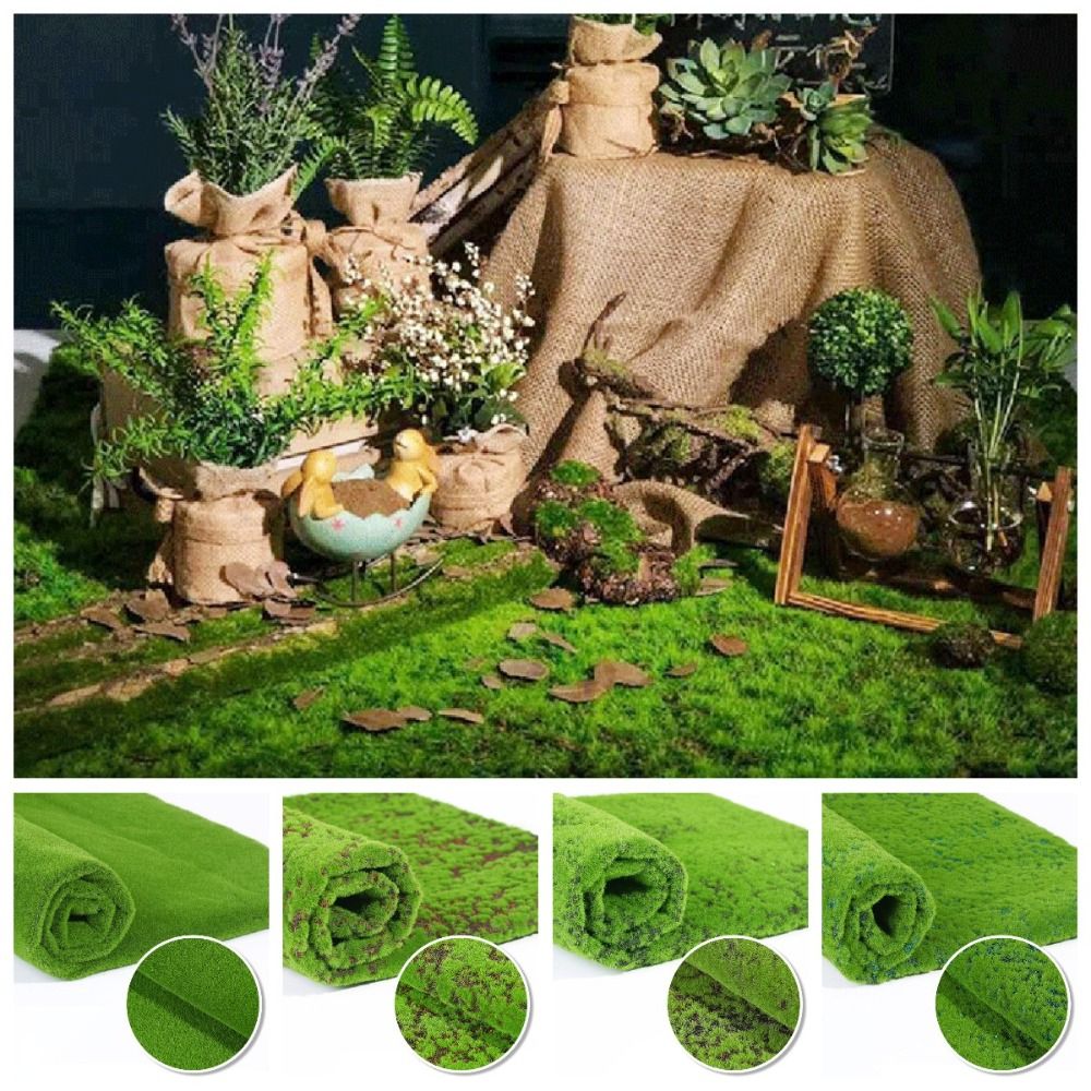 عشب صناعي من الطحالب قابل للتر - مراجعة Sphagnum Moss Dry وسعره