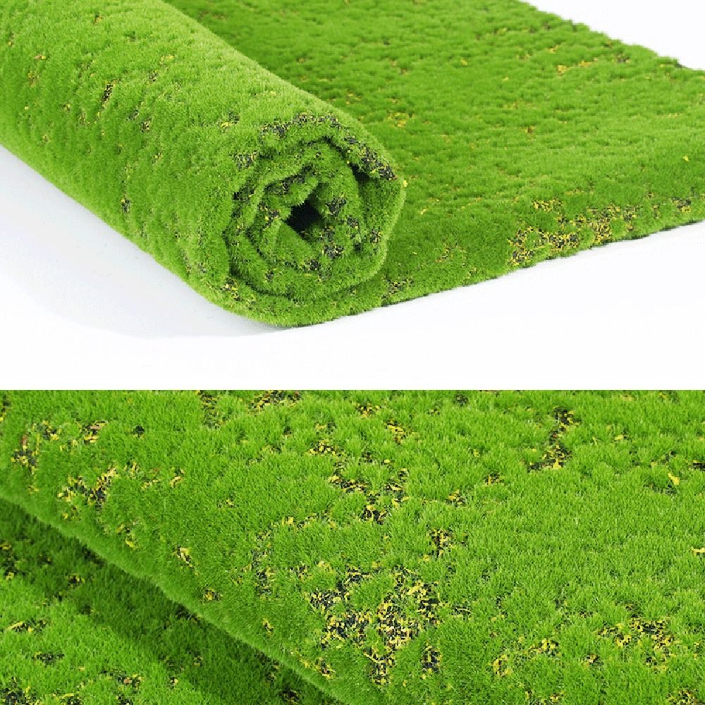 عشب صناعي من الطحالب قابل للتر - مراجعة Sphagnum Moss Dry وسعره
