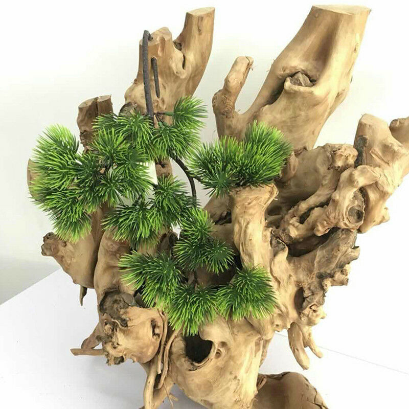 42 سنتيمتر نبات اصطناعي فرع ال - مراجعة Sphagnum Moss Dry وسعره