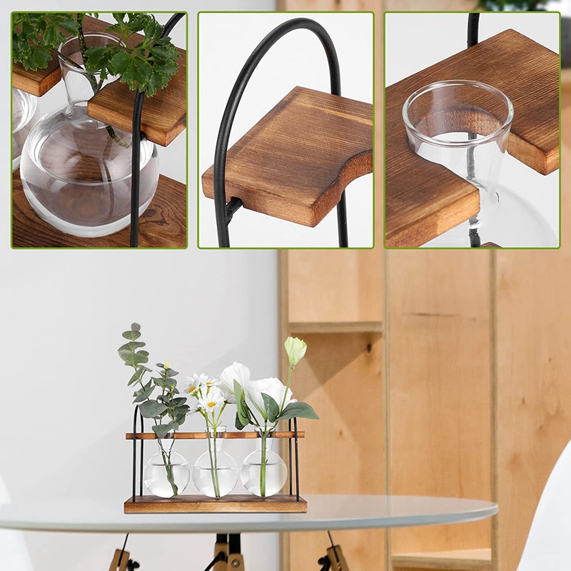 محطة تكاثر النباتات مع حامل خش - مراجعة Propagation Station Vase وسعره