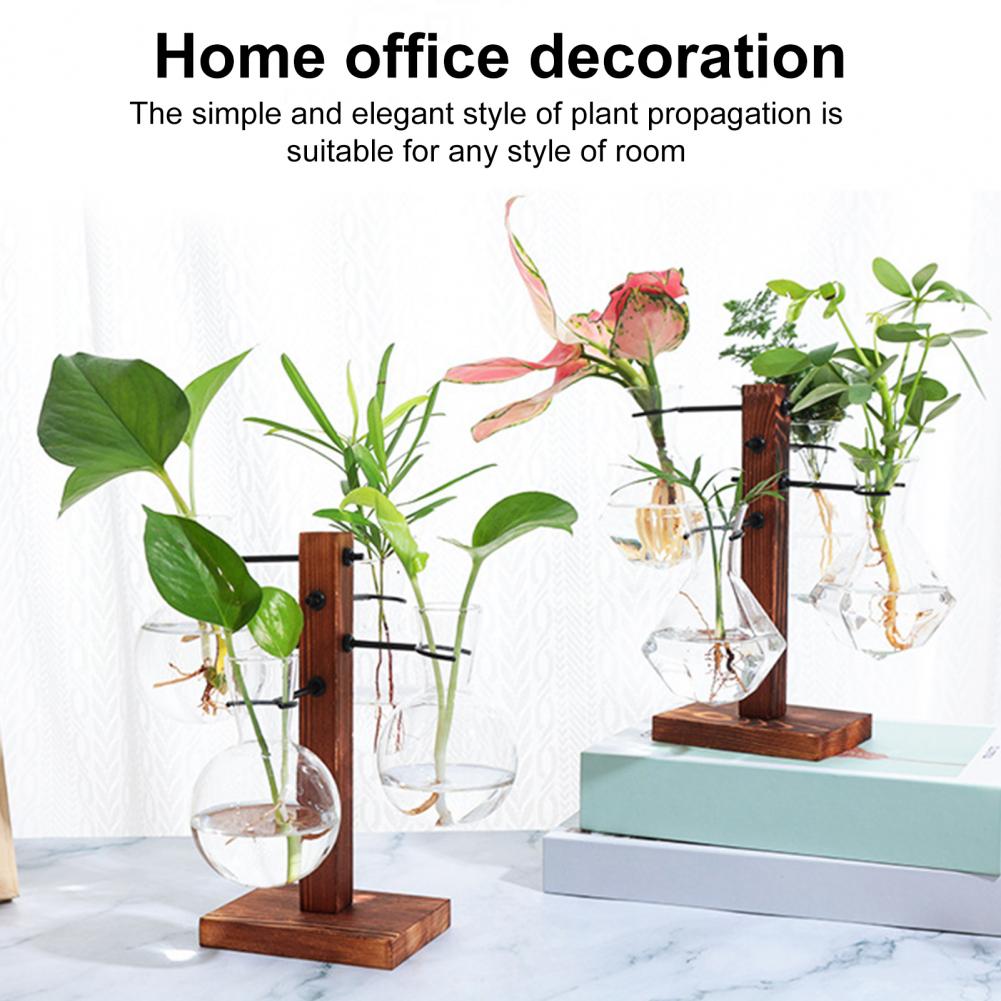 1 مجموعة 10*25 سنتيمتر محطة ان - مراجعة Propagation Station Vase وسعره