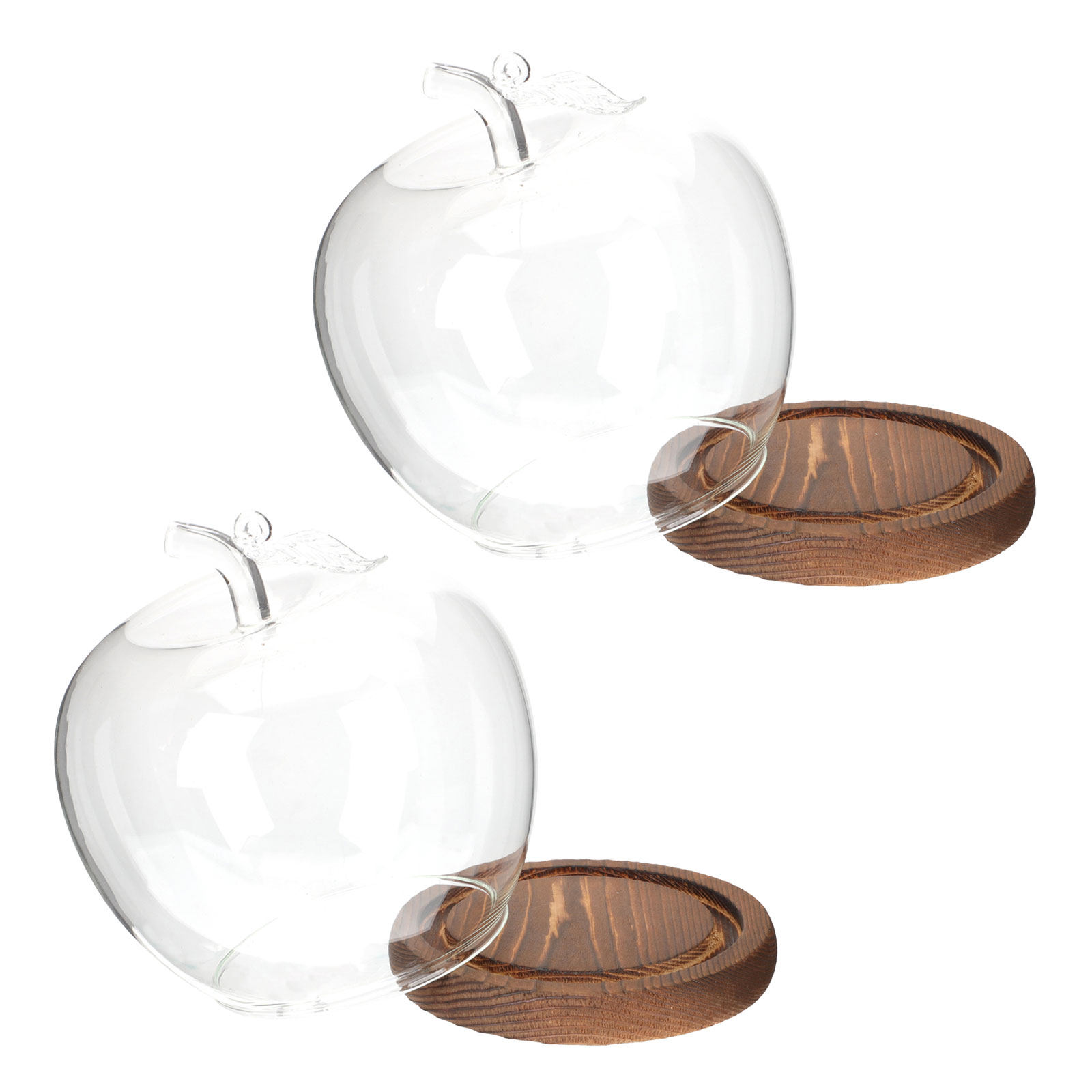 قطعتان من قبة زجاجية شفافة مع  - مراجعة Plastic Dome Clear وسعره