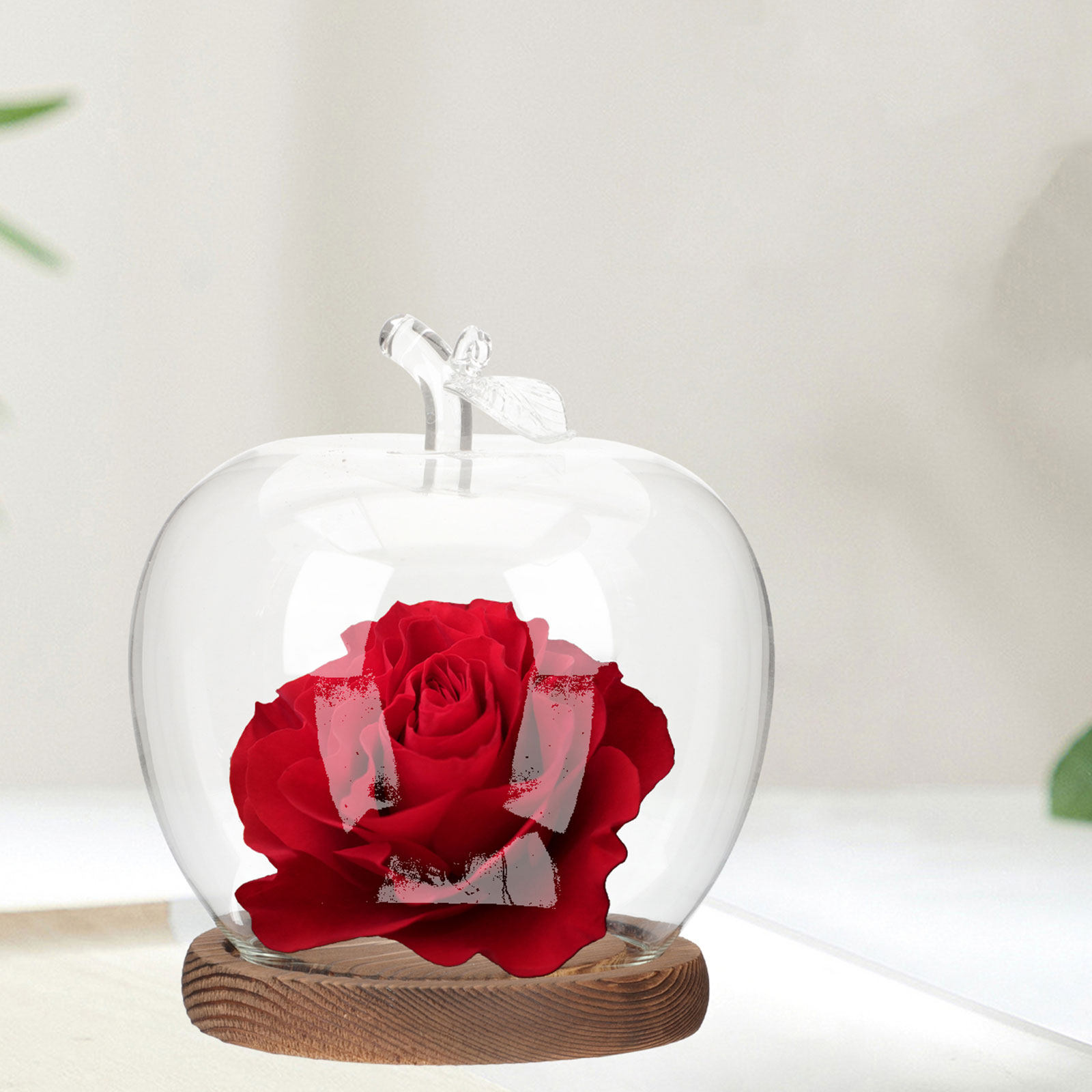 قطعتان من قبة زجاجية شفافة مع  - مراجعة Plastic Dome Clear وسعره